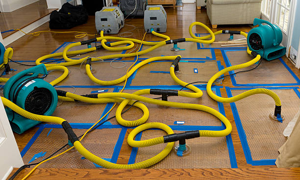 Professional Crawl Space Water Removal technician working in Palmyra, NJ